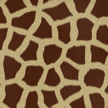 Giraffe fur (skin) background or texture