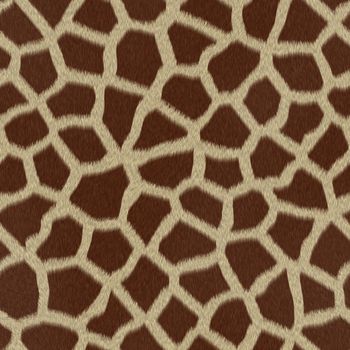 Giraffe fur (skin) background or texture