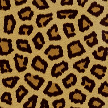Leopard fur (skin) background or texture