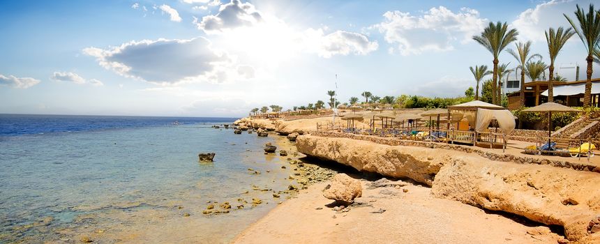 Coral reefs on beach of the Red sea