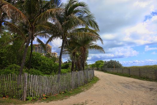 Road along the ocean in Miami