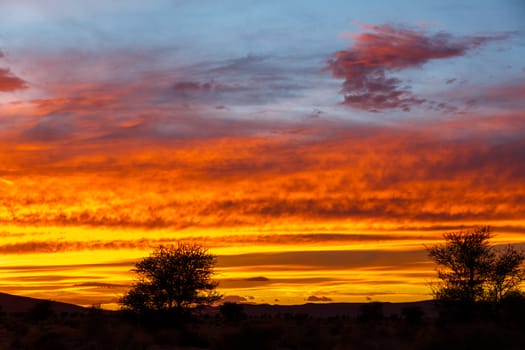 table mountain Sunset in the Sahara desert