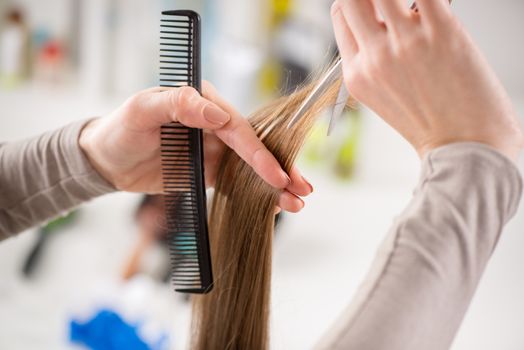 Close-up of a hairdresser cutting the hair of a woman. 