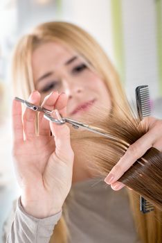 Close-up of a hairdresser cutting the hair of a woman. Selective focus.