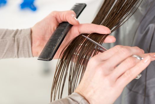 Close-up of a hairdresser cutting the hair of a woman. 