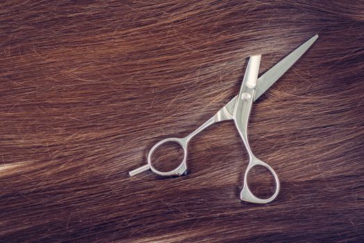 Beautiful healthy shiny hair and professional scissors.