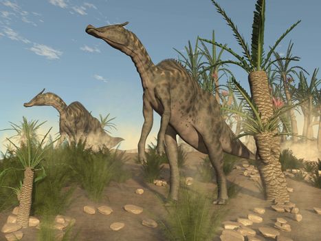 Two saurolophus dinosaurs walking among onychiopsis and williamsonia trees by day - 3D render