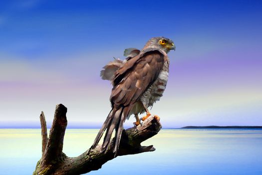 Painting of an eagle on dead tree at beach
