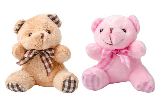 Toy teddy bear and pink bear on white backgrounhd.