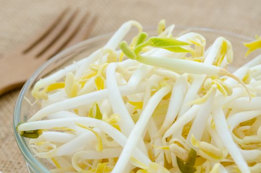 Mung bean sprouts in glass cup on sack background