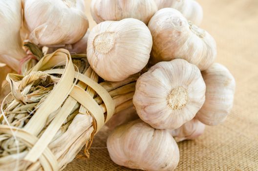 Garlic bulbs on sack background.