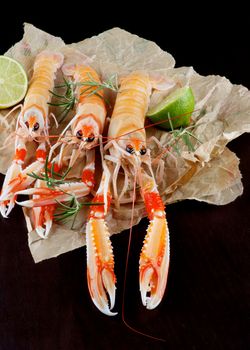 Delicious Raw Langoustines with Lime and Rosemary on Parchment Paper closeup on Dark Wooden background