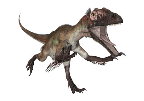 3D digital render of a dinosaur utahraptor isolated on white background