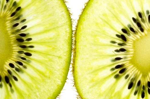 Kiwi fruit isolated on white background.