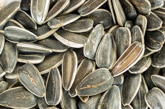 Sunflower seeds  for background use.