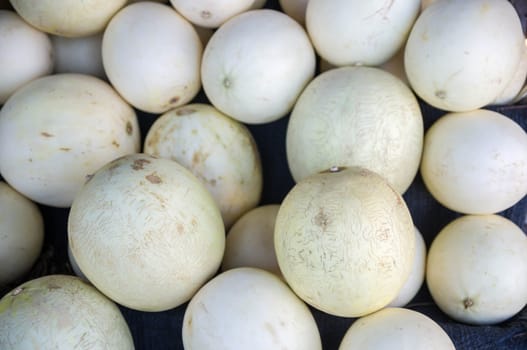 pile of cantaloupe fruit for sale