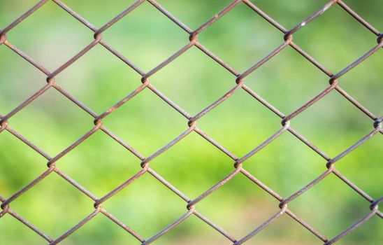 Metal mesh wire fence with blur green background