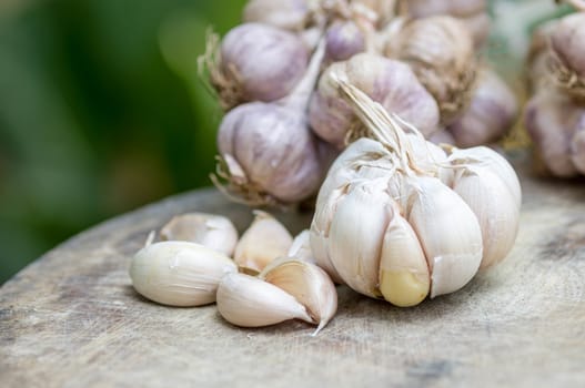 Close up of purple garlic on wooden background (Alliums, Alliaceae)