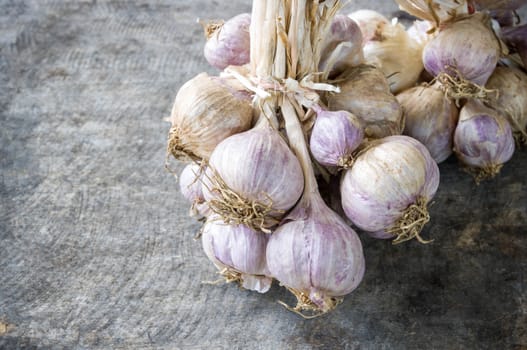 Close up of purple garlic on wooden background (Alliums, Alliaceae)