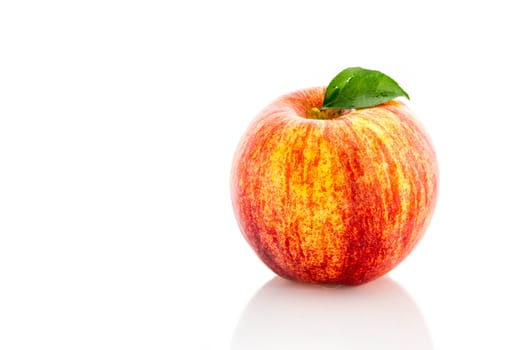 Fresh red apple isolated on a white background.