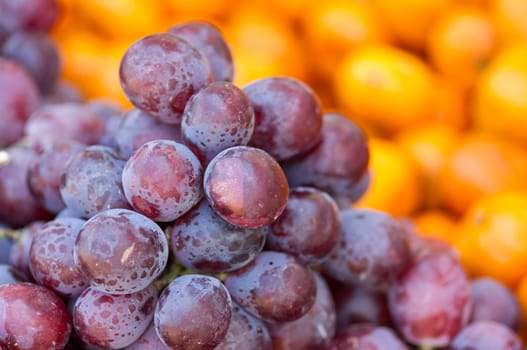 Fresh dark red grapes at market place.