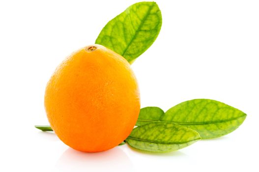 Orange fruit isolated on white background