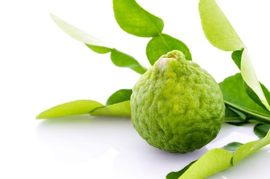 Kaffir lime fresh and leaf isolated on white background.