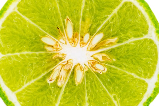 Bergamot, kaffir  lime isolated white background.