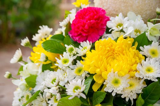 Bouquet of simple flowers.