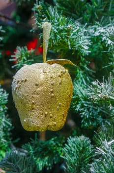 Christmas decoration with a gold apple.