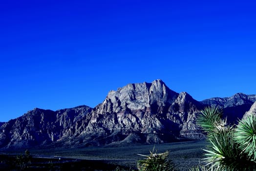 The Red Rock Canyon National Conservation Area in Nevada is an area managed by the Bureau of Land Management as part of its National Landscape Conservation System, and protected as a National Conservation Area.