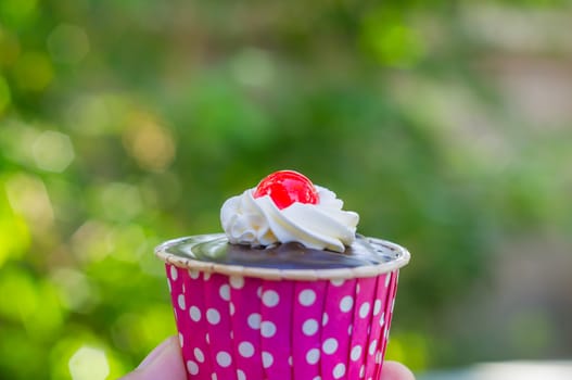 chocolate Cupcakes with delicious frosting