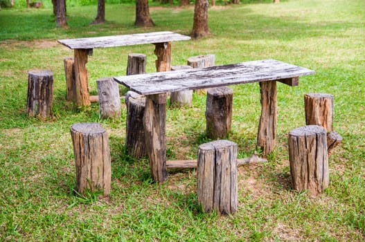 Old wood table in a green spring park.