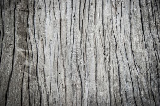 Wood Texture Background