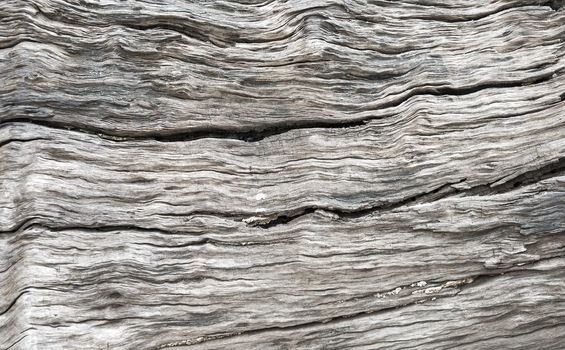 Wood Texture Background