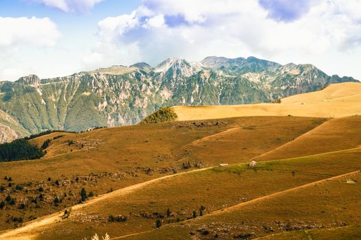 View of meadows in the mountains that create sinuous lines.