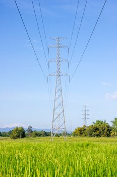 high voltage post.High-voltage tower on green rice field with sky background.