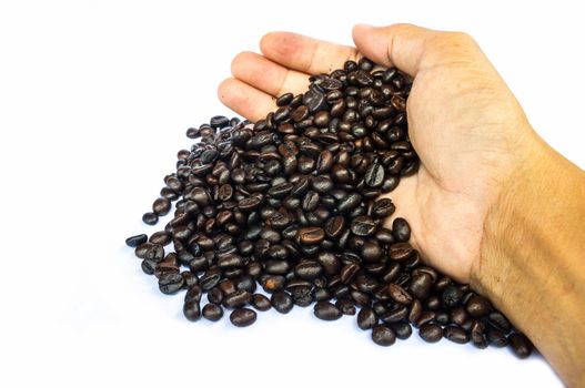 coffee beans on hand isolated on white background.