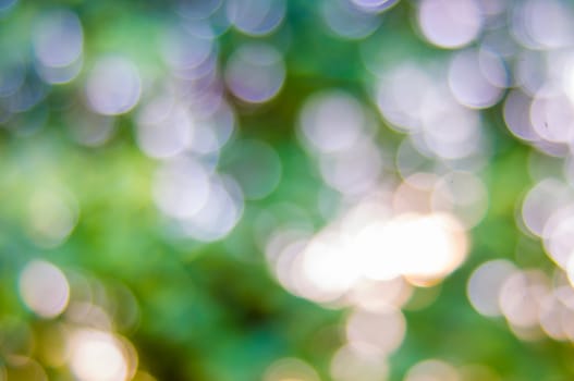 Green bokeh and blur background