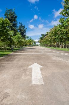  Arrow traffic symbol on the road between tree with blue sky.