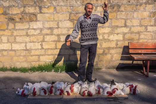 Mountaineer sells live roosters on the street, on September 13, 2012 in Qusar. Qusar is located in foothills of Greater Caucasus, inhabited by Lezgians, local ethnic group.