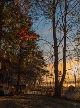 The sun comes up through autumn trees  in the back yard on a lake in Northern Ontario.