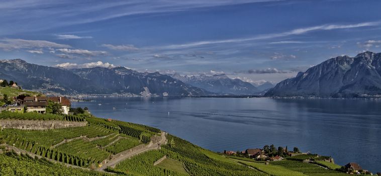 Magnificent landscape of Lavaux in Switzerland with these vineyards