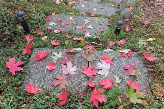 Pebbled Square Stone Steps with Fall Maple Tree Leaves in Backyard Garden