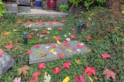 Concrete Square Stone Steps with Fall Maple Tree Leaves in Landscaped Backyard Garden