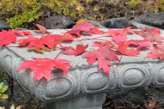 Red Maple Leaves Fallen on Concrete Stone Bench in Fall Season Closeup