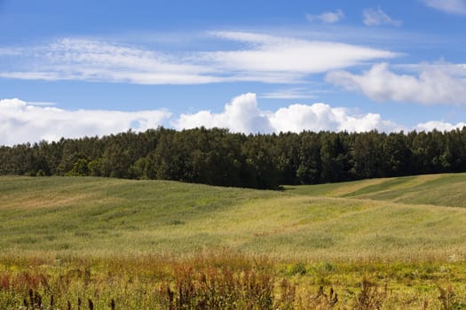  agriculture field, which has an irregular surface elevation. Away trees