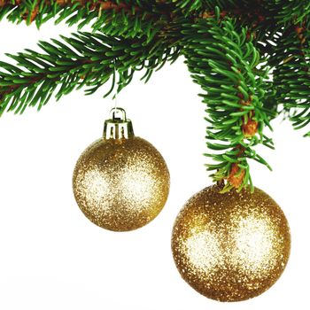 Decorative christmas balls on fir branch isolated on white background