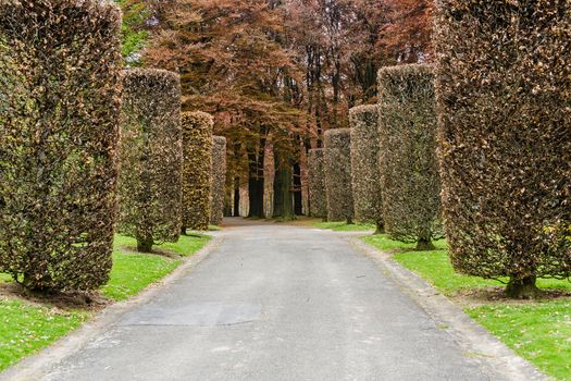 The Osseghem Park in Brussels, Belgium.