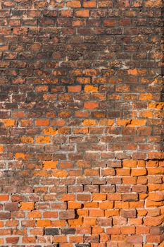 Vertical red brick wall background.